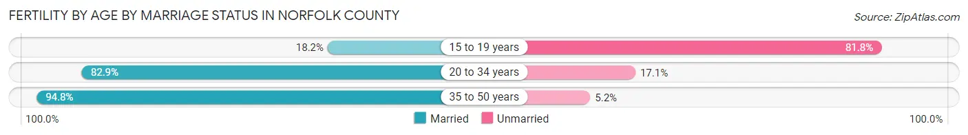 Female Fertility by Age by Marriage Status in Norfolk County