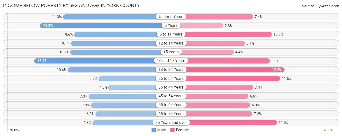 Income Below Poverty by Sex and Age in York County