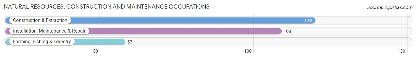 Natural Resources, Construction and Maintenance Occupations in Alger County