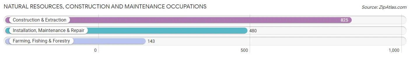 Natural Resources, Construction and Maintenance Occupations in Antrim County