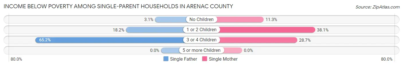 Income Below Poverty Among Single-Parent Households in Arenac County