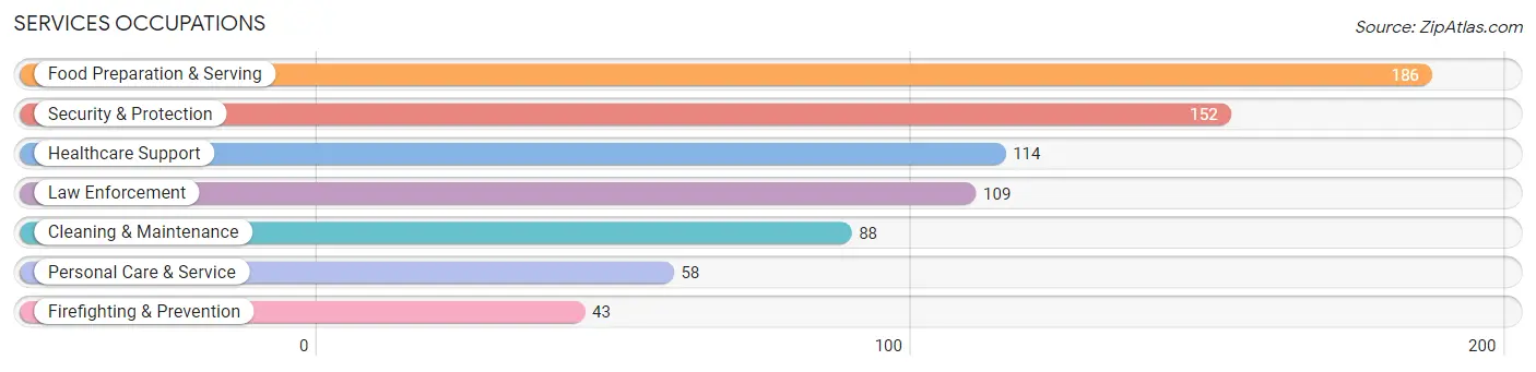 Services Occupations in Baraga County