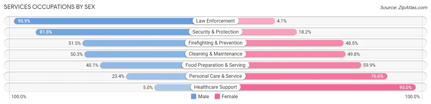Services Occupations by Sex in Barry County