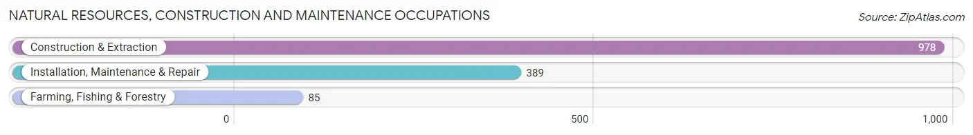 Natural Resources, Construction and Maintenance Occupations in Cheboygan County