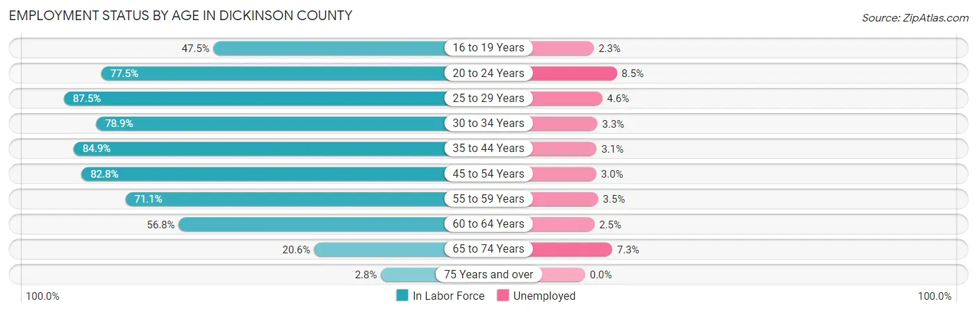 Employment Status by Age in Dickinson County
