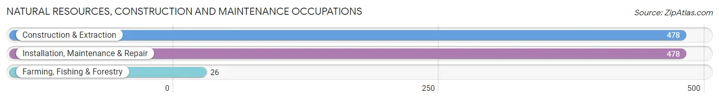 Natural Resources, Construction and Maintenance Occupations in Dickinson County