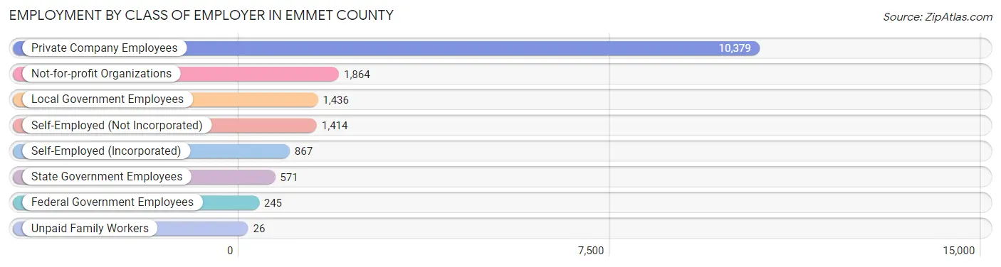 Employment by Class of Employer in Emmet County