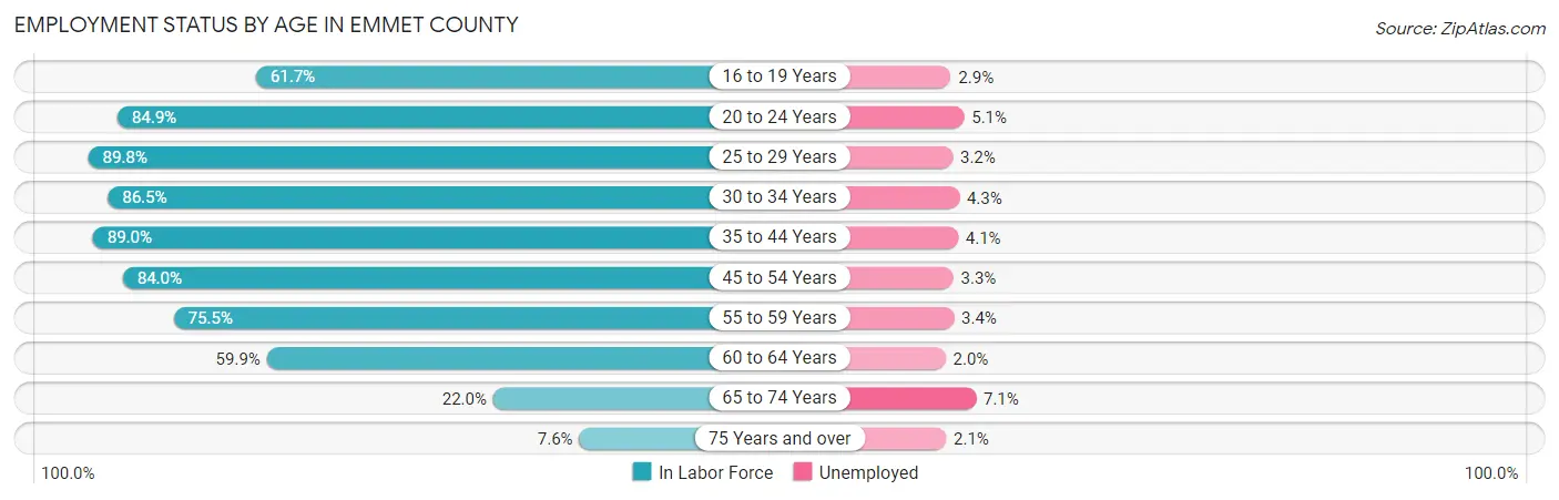 Employment Status by Age in Emmet County