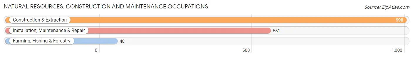 Natural Resources, Construction and Maintenance Occupations in Emmet County