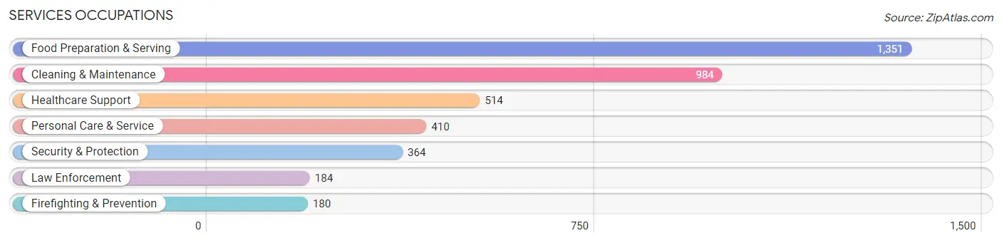 Services Occupations in Emmet County