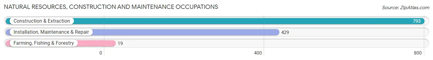 Natural Resources, Construction and Maintenance Occupations in Gladwin County