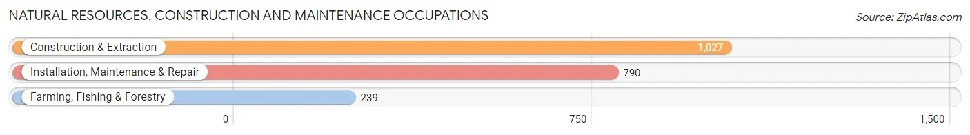 Natural Resources, Construction and Maintenance Occupations in Hillsdale County