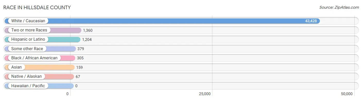 Race in Hillsdale County