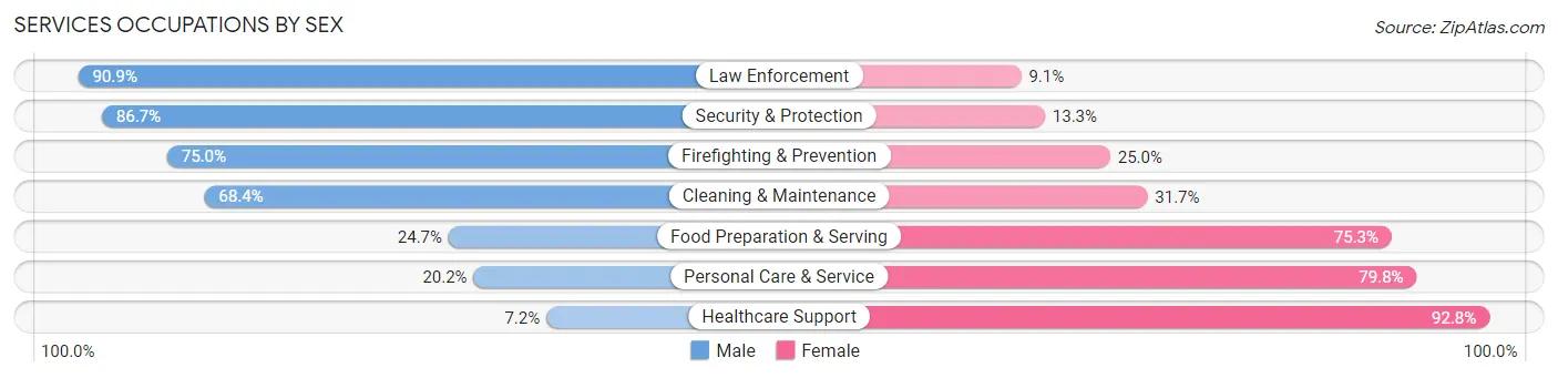 Services Occupations by Sex in Hillsdale County