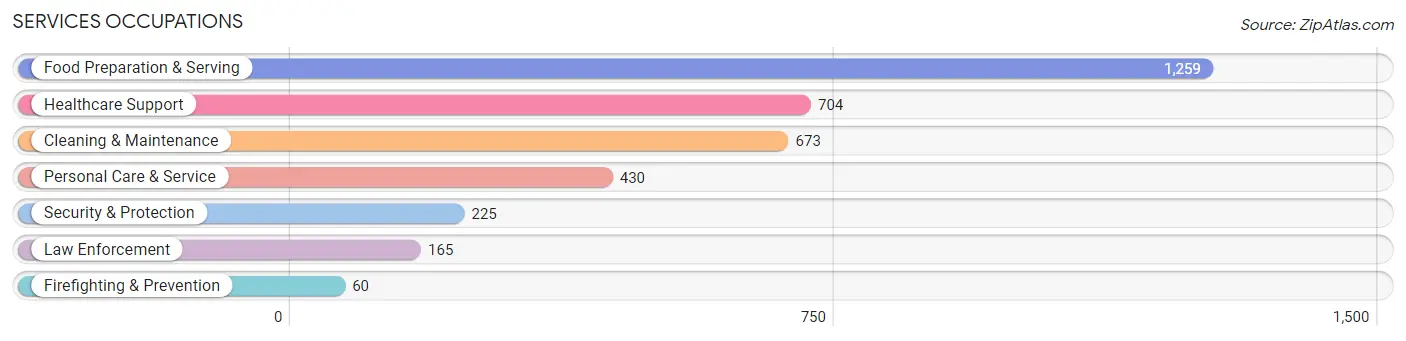 Services Occupations in Hillsdale County