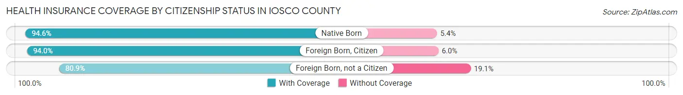 Health Insurance Coverage by Citizenship Status in Iosco County