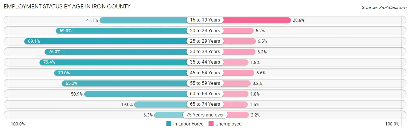 Employment Status by Age in Iron County