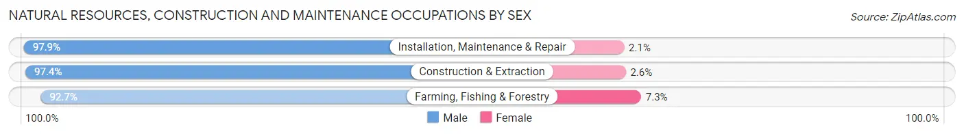 Natural Resources, Construction and Maintenance Occupations by Sex in Iron County