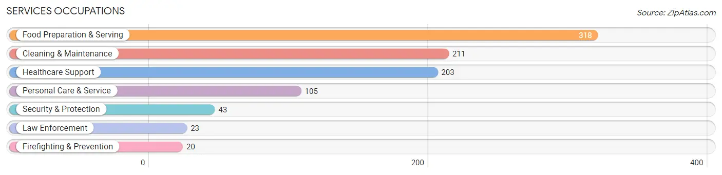 Services Occupations in Iron County