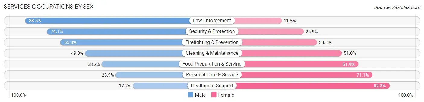 Services Occupations by Sex in Isabella County