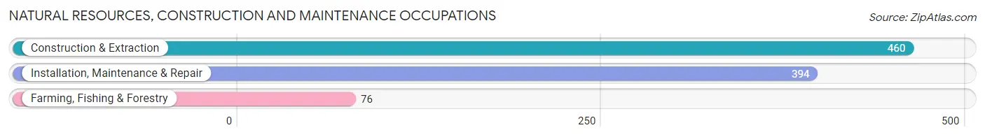 Natural Resources, Construction and Maintenance Occupations in Leelanau County
