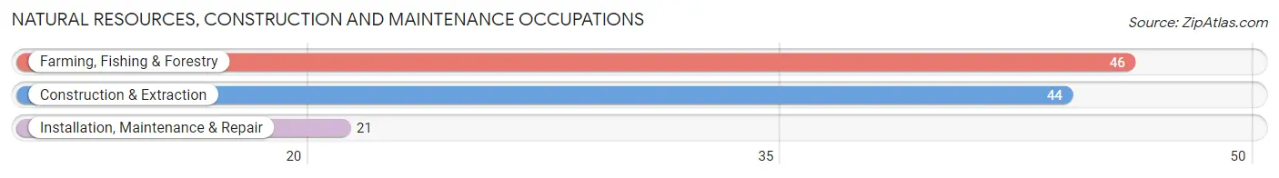Natural Resources, Construction and Maintenance Occupations in Luce County