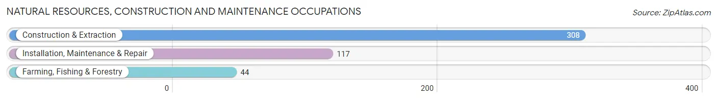 Natural Resources, Construction and Maintenance Occupations in Mackinac County