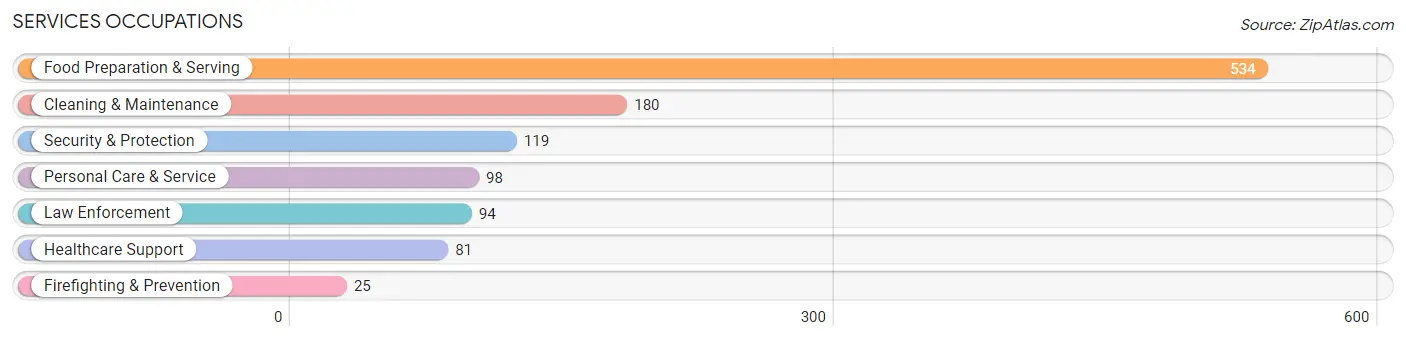 Services Occupations in Mackinac County