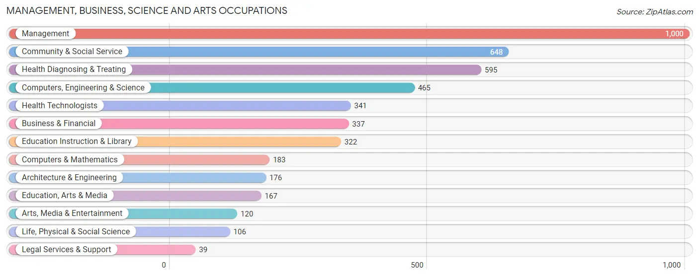 Management, Business, Science and Arts Occupations in Manistee County