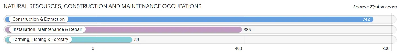 Natural Resources, Construction and Maintenance Occupations in Manistee County