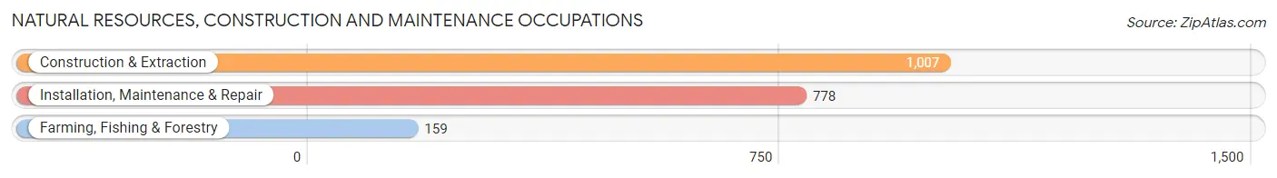 Natural Resources, Construction and Maintenance Occupations in Mecosta County