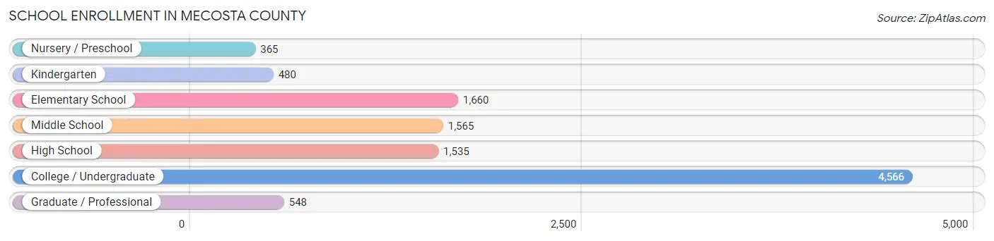 School Enrollment in Mecosta County