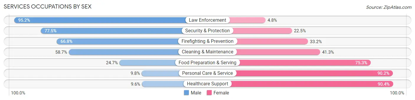 Services Occupations by Sex in Mecosta County