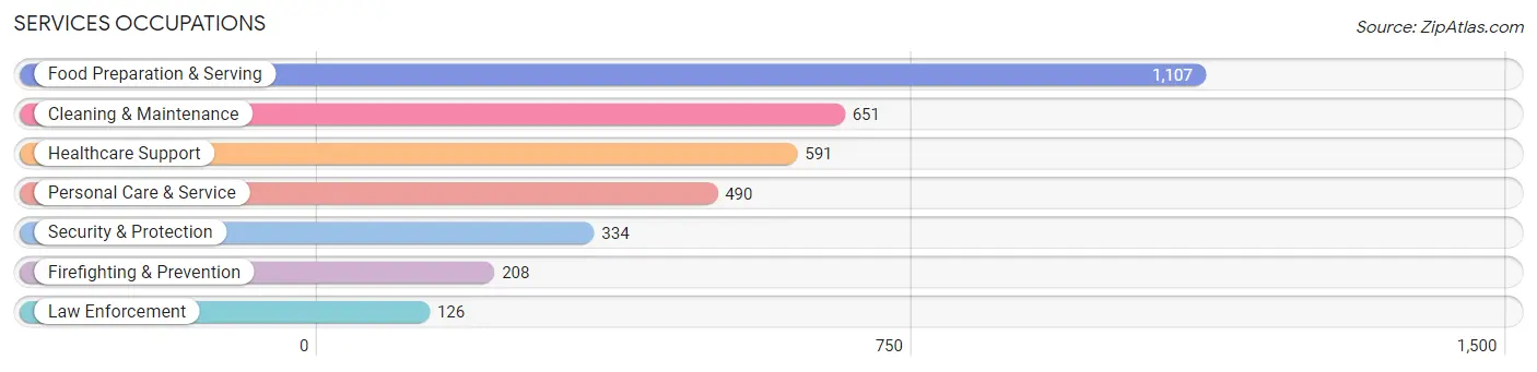 Services Occupations in Mecosta County
