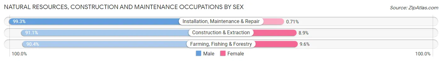 Natural Resources, Construction and Maintenance Occupations by Sex in Menominee County
