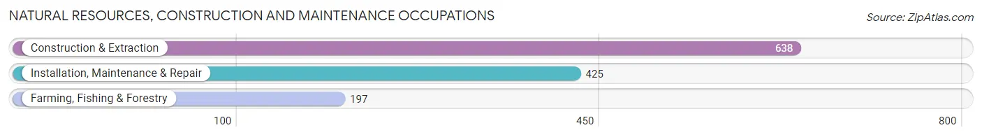 Natural Resources, Construction and Maintenance Occupations in Menominee County