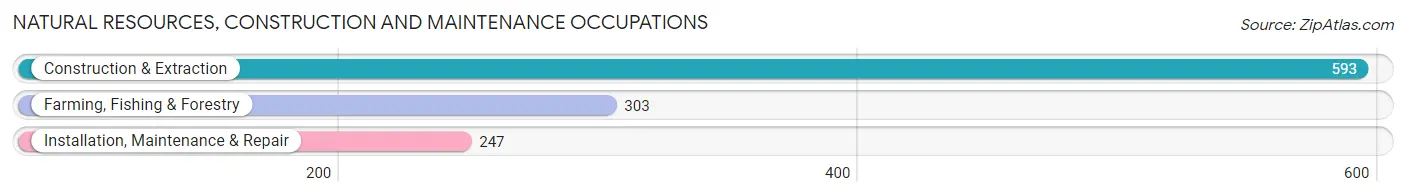 Natural Resources, Construction and Maintenance Occupations in Missaukee County