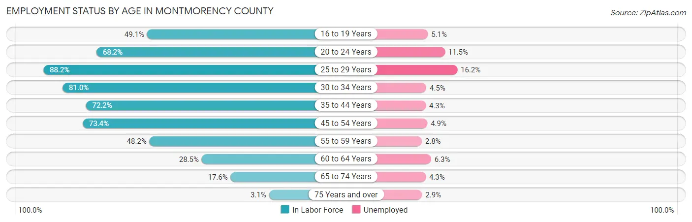 Employment Status by Age in Montmorency County