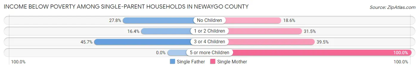 Income Below Poverty Among Single-Parent Households in Newaygo County