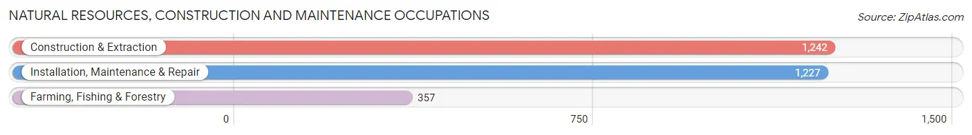 Natural Resources, Construction and Maintenance Occupations in Newaygo County