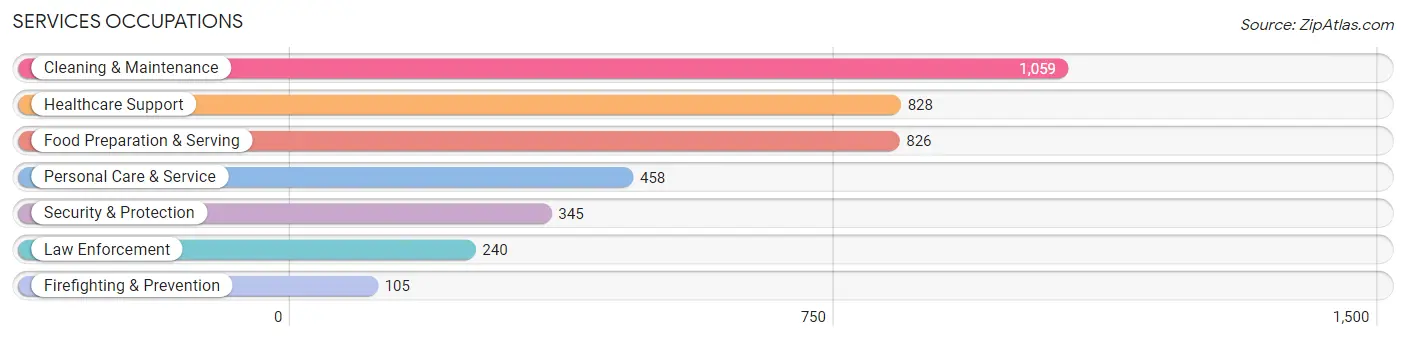 Services Occupations in Newaygo County