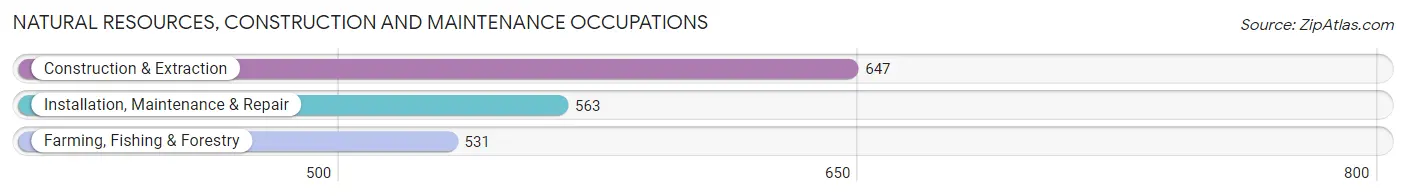 Natural Resources, Construction and Maintenance Occupations in Oceana County