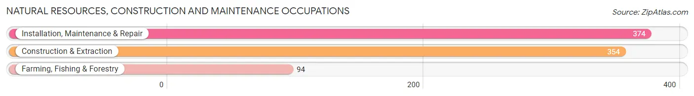 Natural Resources, Construction and Maintenance Occupations in Ogemaw County