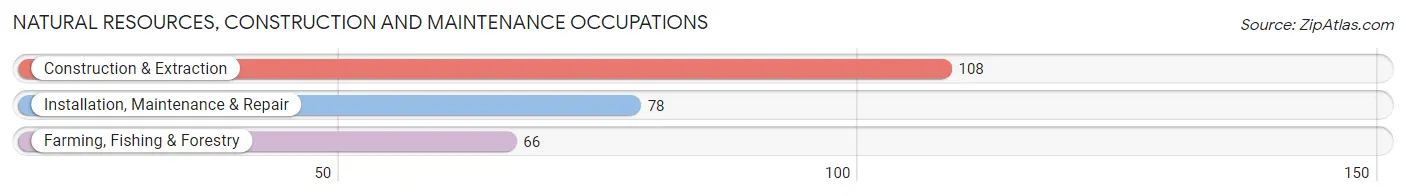 Natural Resources, Construction and Maintenance Occupations in Ontonagon County