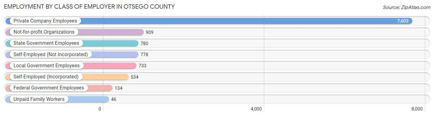 Employment by Class of Employer in Otsego County