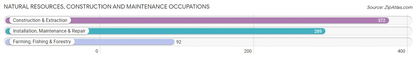 Natural Resources, Construction and Maintenance Occupations in Presque Isle County