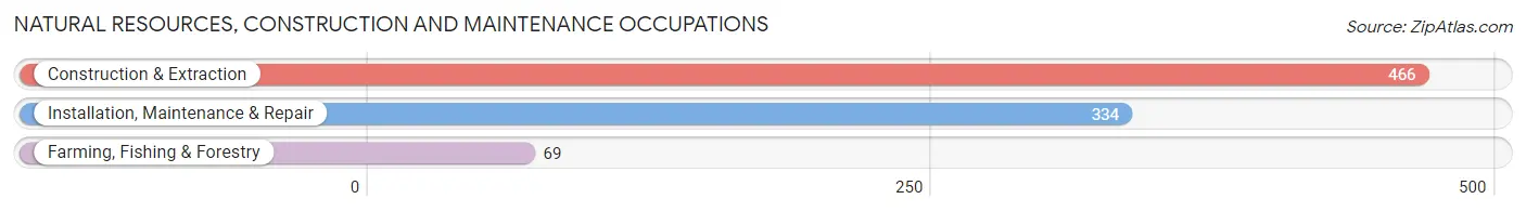 Natural Resources, Construction and Maintenance Occupations in Roscommon County