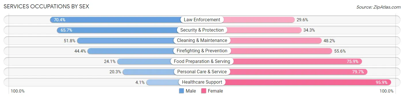 Services Occupations by Sex in Sanilac County