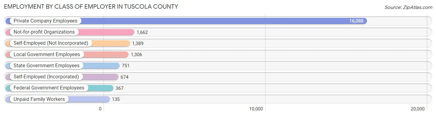 Employment by Class of Employer in Tuscola County