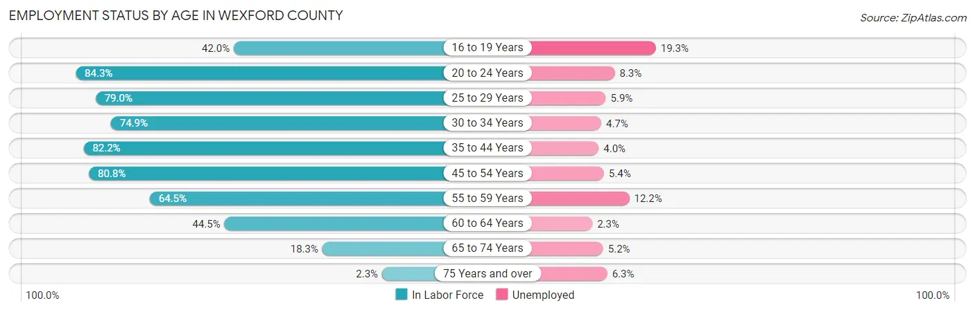Employment Status by Age in Wexford County